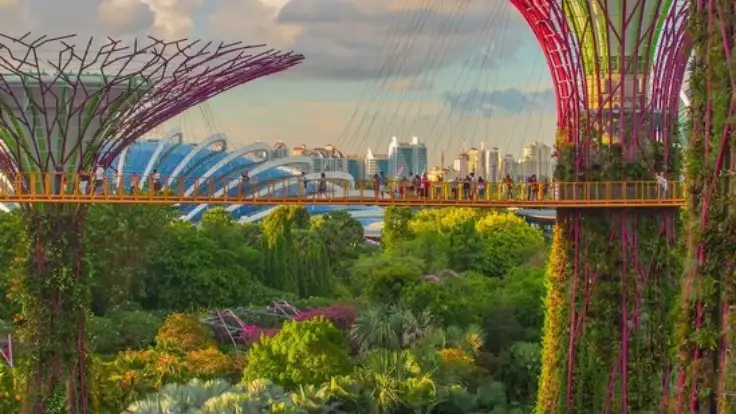 خرید در تور سنگاپور زمستان